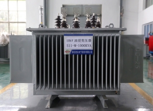 10kV油浸变压器S11-M-1000KVA
